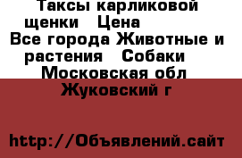 Таксы карликовой щенки › Цена ­ 20 000 - Все города Животные и растения » Собаки   . Московская обл.,Жуковский г.